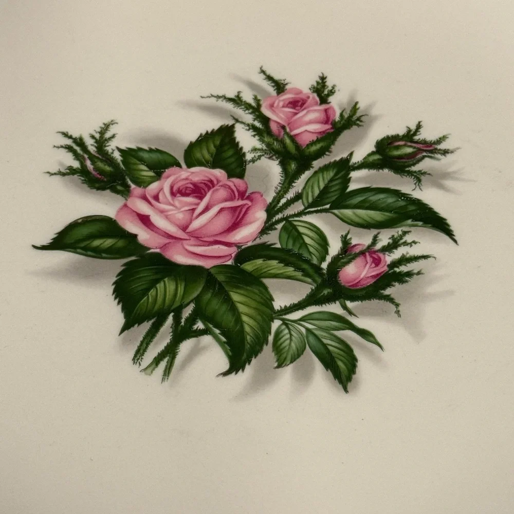 Royal China elegant cream